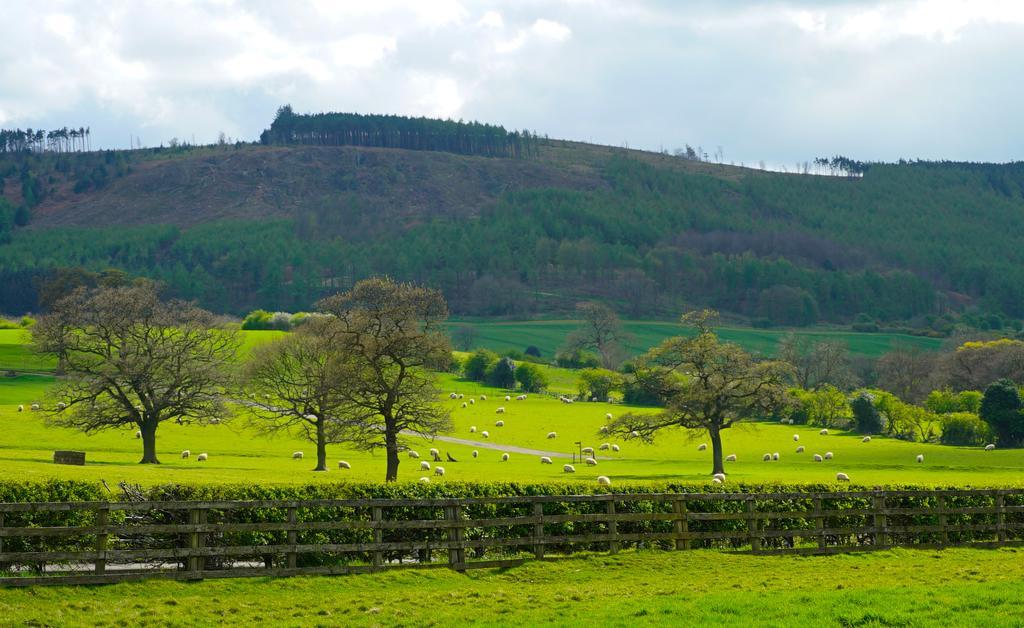 Gisborough Hall Hotel Guisborough Buitenkant foto